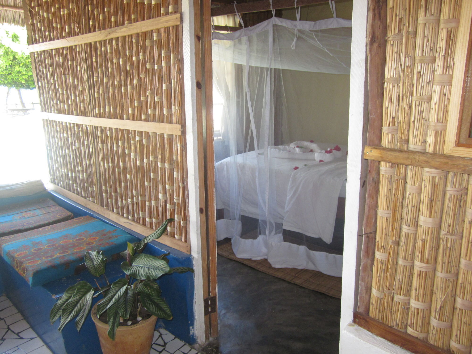 Baobab Beach Lodge And Backpackers วิลันคูลอส ภายนอก รูปภาพ