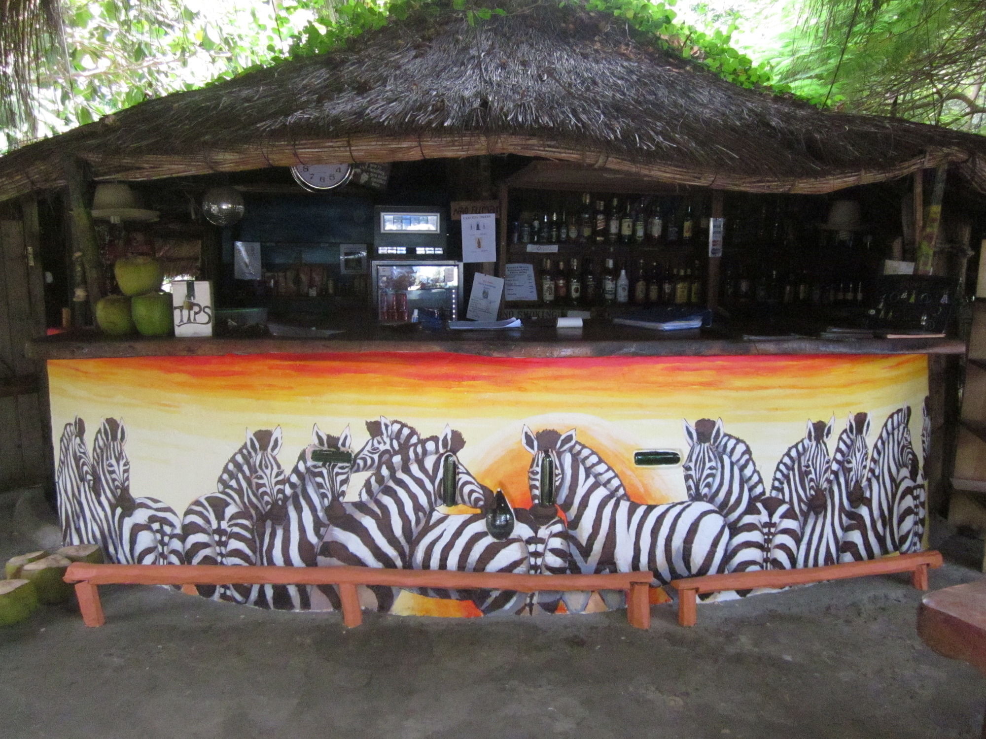 Baobab Beach Lodge And Backpackers วิลันคูลอส ภายนอก รูปภาพ